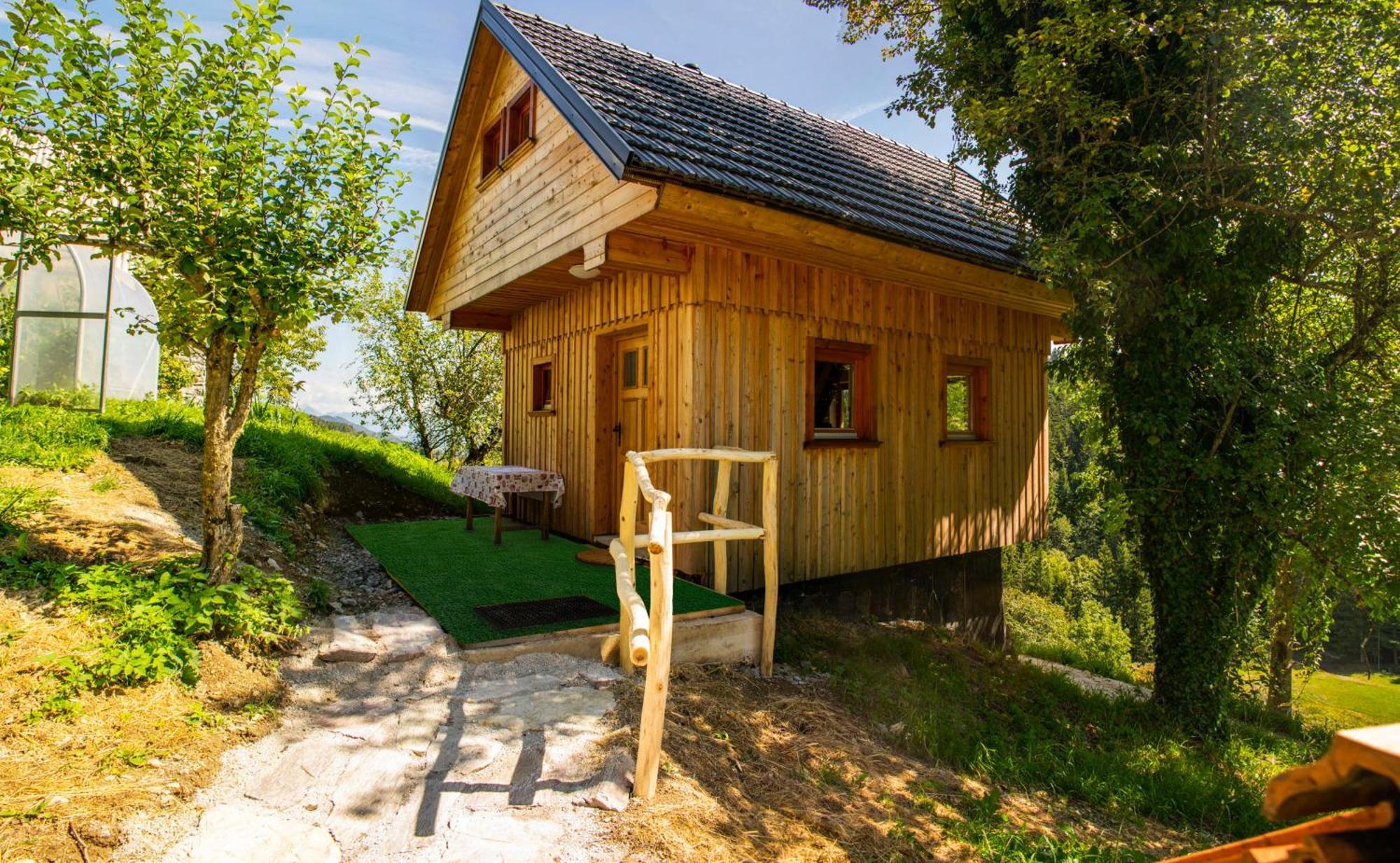 Wooden Chalet - Homestead Vrhovc Zelezniki Exterior photo